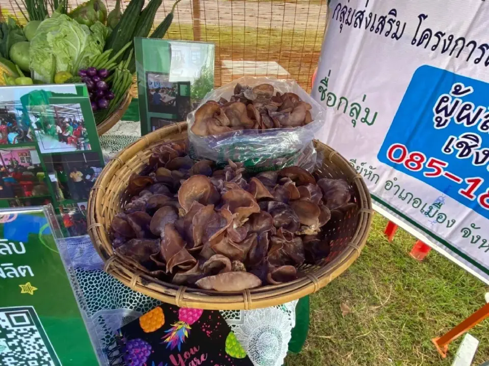 กรมส่งเสริมสหกรณ์ปลื้มคว้ารางวัลเลิศรัฐ ปี 65 เตรียมยก 11 ผลงานขยายผลสู่สหกรณ์ต้นแบบ