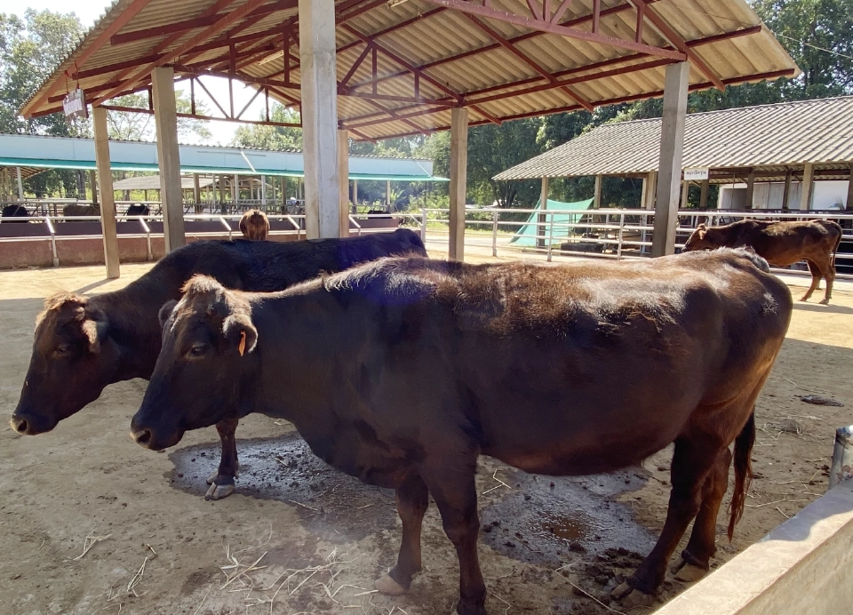 4 ทศวรรษ กับ "โครงการอันเนื่องมาจากพระราชดำริ"