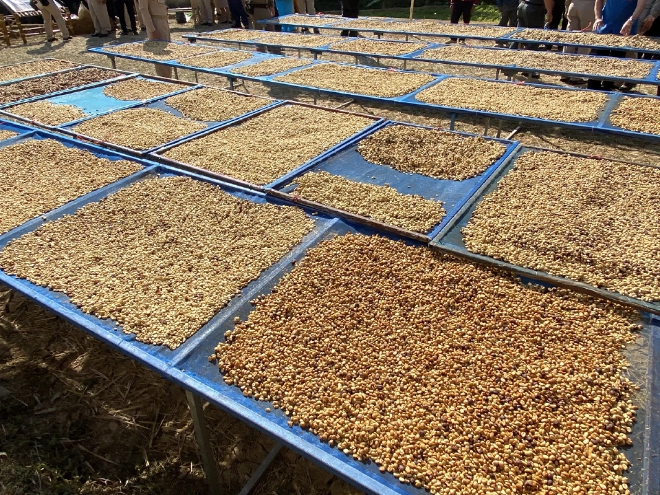 4 ทศวรรษ กับ "โครงการอันเนื่องมาจากพระราชดำริ"