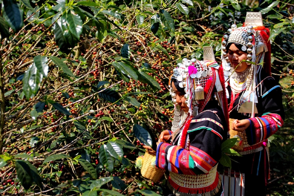 4 ทศวรรษ กับ "โครงการอันเนื่องมาจากพระราชดำริ"