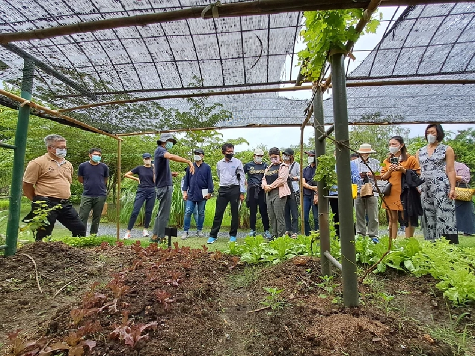 สมาคมผู้บริโภคอินทรีย์ไทย เปิด TOCA Platform ขับเคลื่อนสังคมอินทรีย์