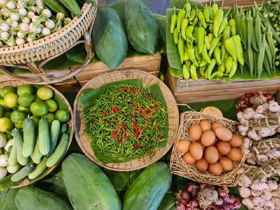 สมาคมผู้บริโภคอินทรีย์ไทย เปิด TOCA Platform ขับเคลื่อนสังคมอินทรีย์