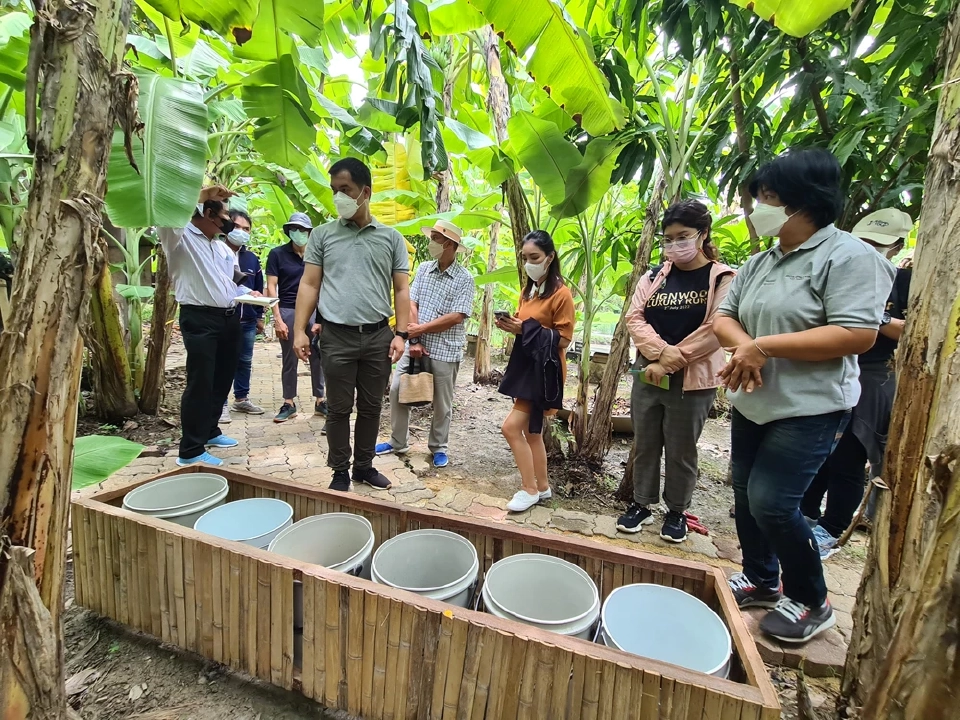 สมาคมผู้บริโภคอินทรีย์ไทย เปิด TOCA Platform ขับเคลื่อนสังคมอินทรีย์