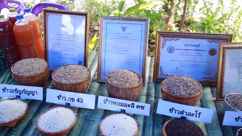 เปิดตัว “ศูนย์ข้าวชุมชนชอนสมบูรณ์” แหล่งผลิตเมล็ดพันธุ์ข้าวอินทรีย์