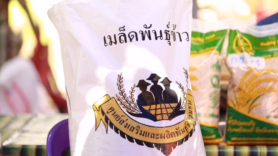 เปิดตัว “ศูนย์ข้าวชุมชนชอนสมบูรณ์” แหล่งผลิตเมล็ดพันธุ์ข้าวอินทรีย์
