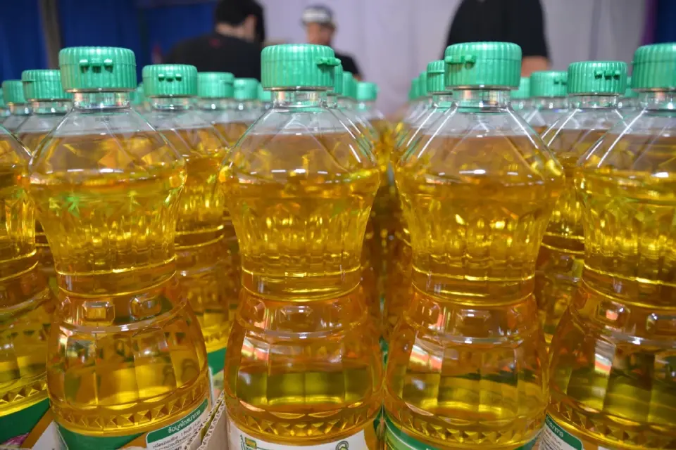 ปลุกกระแส  บี 100 สกัดราคาปาล์มร่วงดิ่งเหว