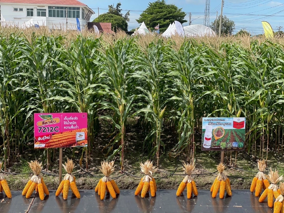 เกษตรฯ จับมือ ไบเออร์ไทย เดินหน้าเปิดศูนย์วิจัย พัฒนานวัตกรรมด้านการเกษตร