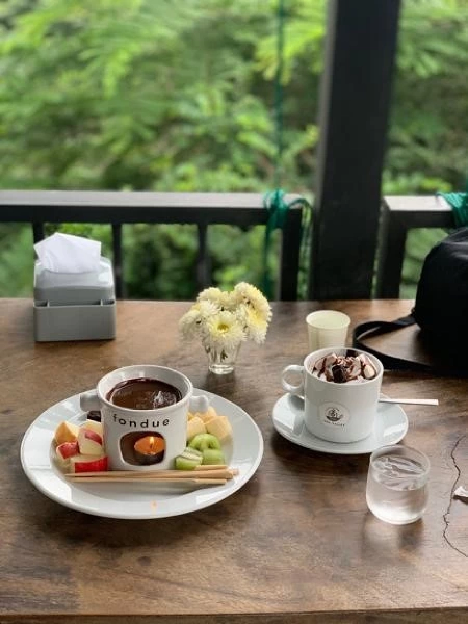 โกโก้น่าน