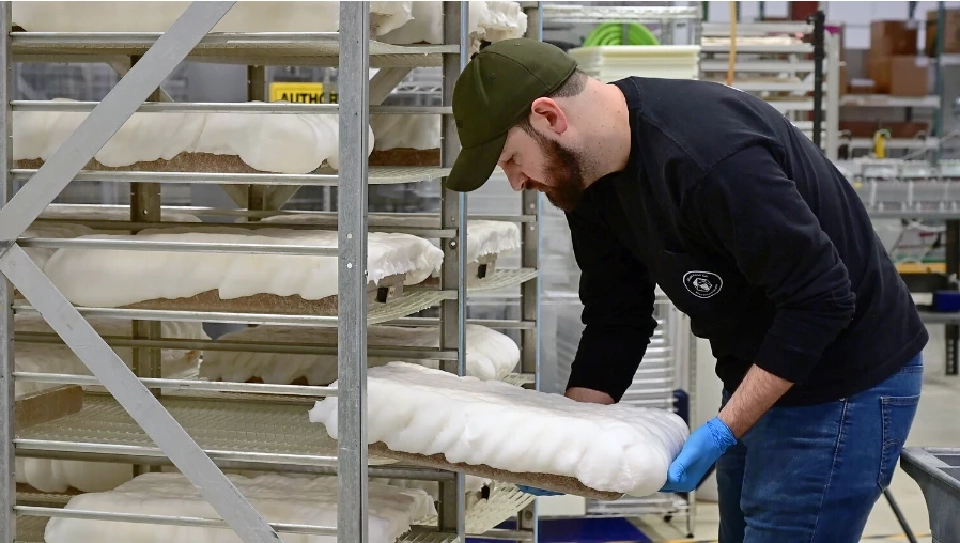 Mycelium-based (โปรตีนจากเชื้อรา) 