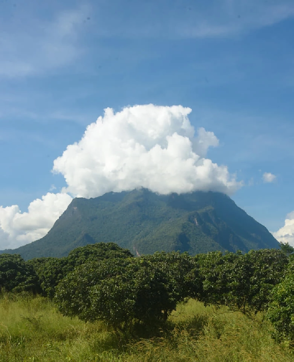ดอยหลวงเชียงดาว จังหวัดเชียงใหม่ มีเมฆปกคลุมเหมือน “วิปปิ้งครีม” 