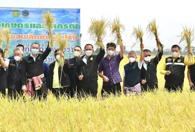 “เฉลิมชัย” ปลื้ม ไทยผงาดส่งออกข้าว ครองแชมป์ข้าวดีที่สุดในโลก 2 ปีซ้อน