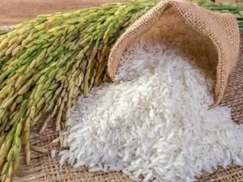 “เฉลิมชัย” ปลื้ม ไทยผงาดส่งออกข้าว ครองแชมป์ข้าวดีที่สุดในโลก 2 ปีซ้อน