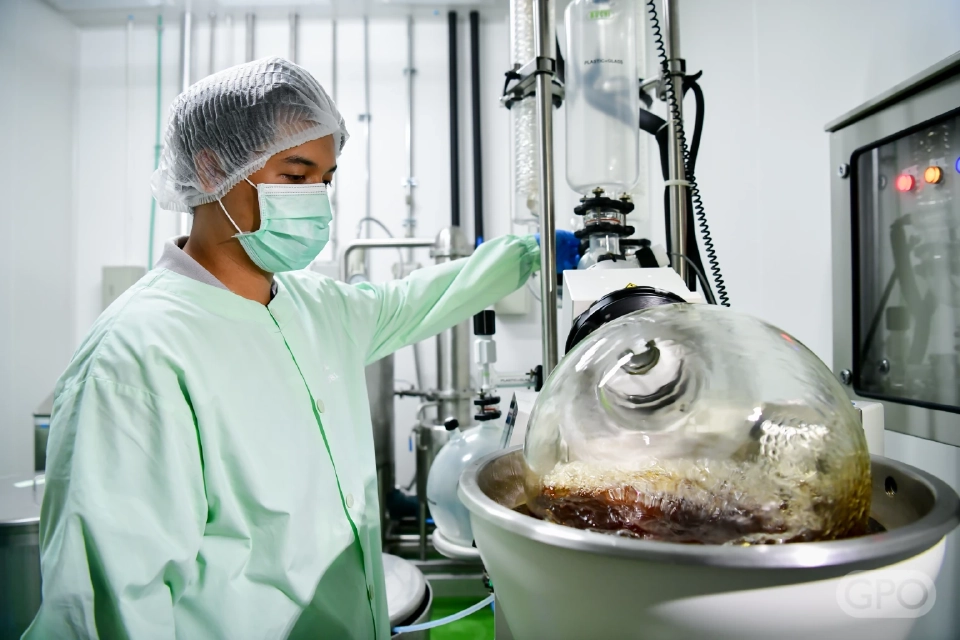 ยาน้ำมันสารสกัดกัญชาตำรับที่4องค์การเภสัชฯขึ้นบัญชียาหลักแห่งชาติแล้ว