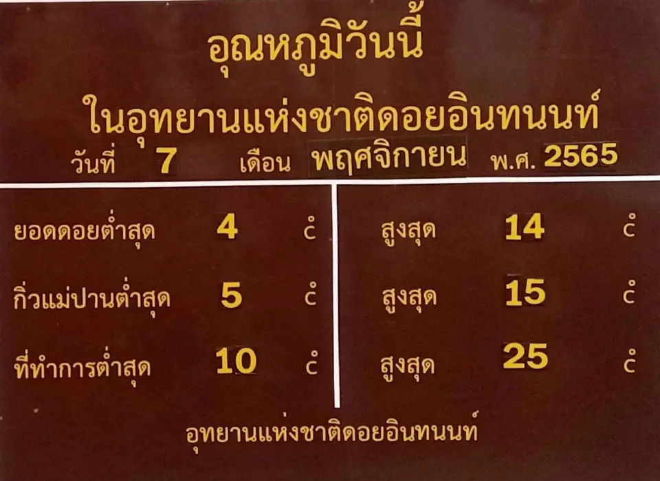 ฮือฮา"เหมยขาบ"มาแล้ว ดอยอินทนนท์เช้านี้ ยอดดอยอุณหภูมิต่ำสุด 4 องศาฯ