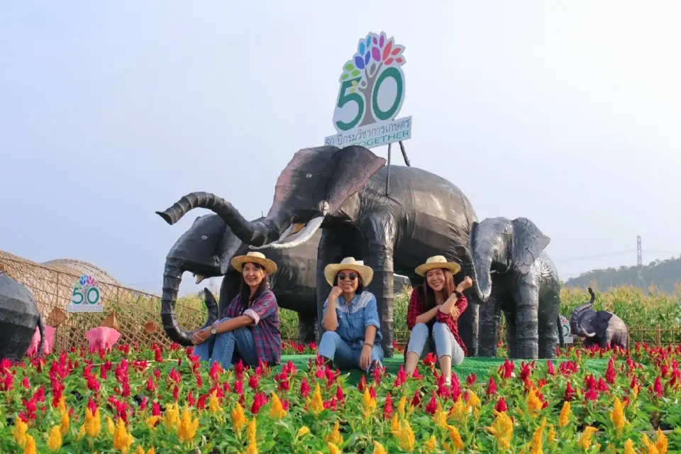 ฉลอง 50 ปี  “กรมวิชาการเกษตร” จัดงานถ่ายทอดเทคโนโลยีการผลิตพืชวันที่ 3-4 พ.ย.