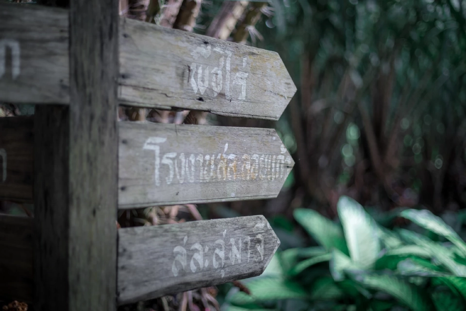 สวนสละอาทิตย์