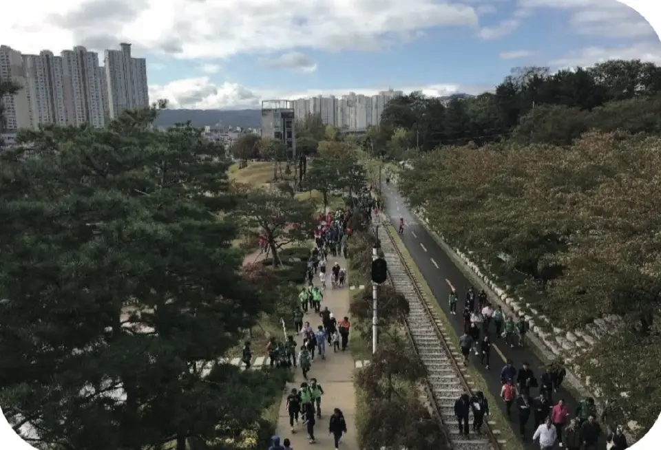 Add Roads and Forests to the Iron City (Pohang, Korea)