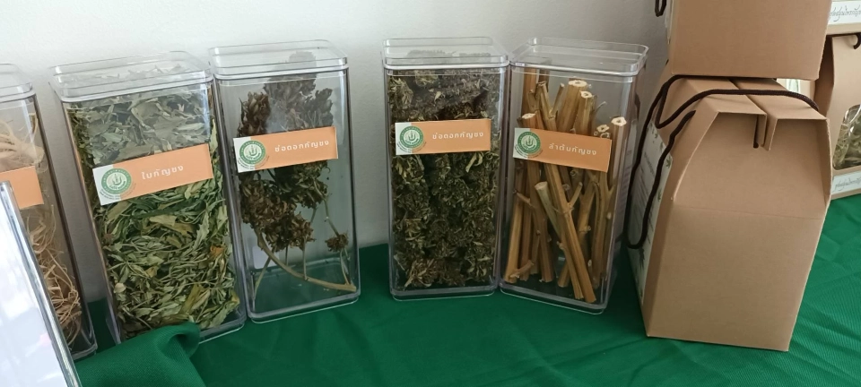 AQ ข้ามห้วยลุยธุรกิจ กัญชง จับมือม.แม่โจ้ ปักหมุด Egronix