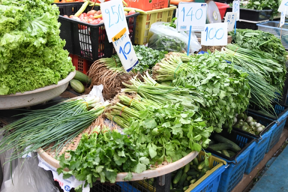 “ผักชี” ราคาพุ่งแตะกิโลละเกือบ300บาท