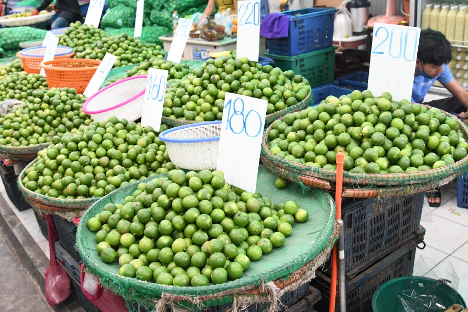 “ผักชี” ราคาพุ่งแตะกิโลละเกือบ300บาท