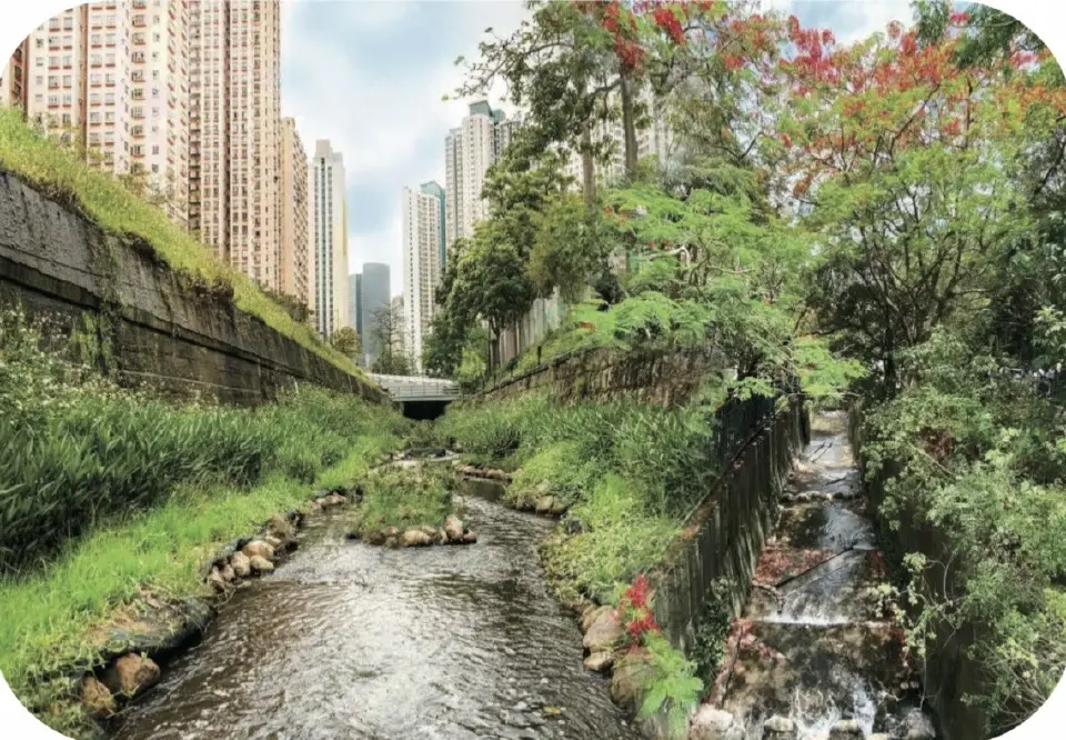 Revitalisation of Jordan Valley Channel 