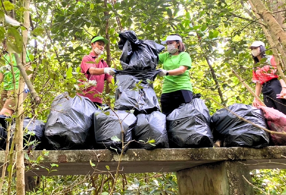 พนักงานจิตอาสาของ ชับบ์ ไลฟ์ และนักเรียนลงพื้นที่ป่าชายเลน เพื่อร่วมกันเก็บขยะ