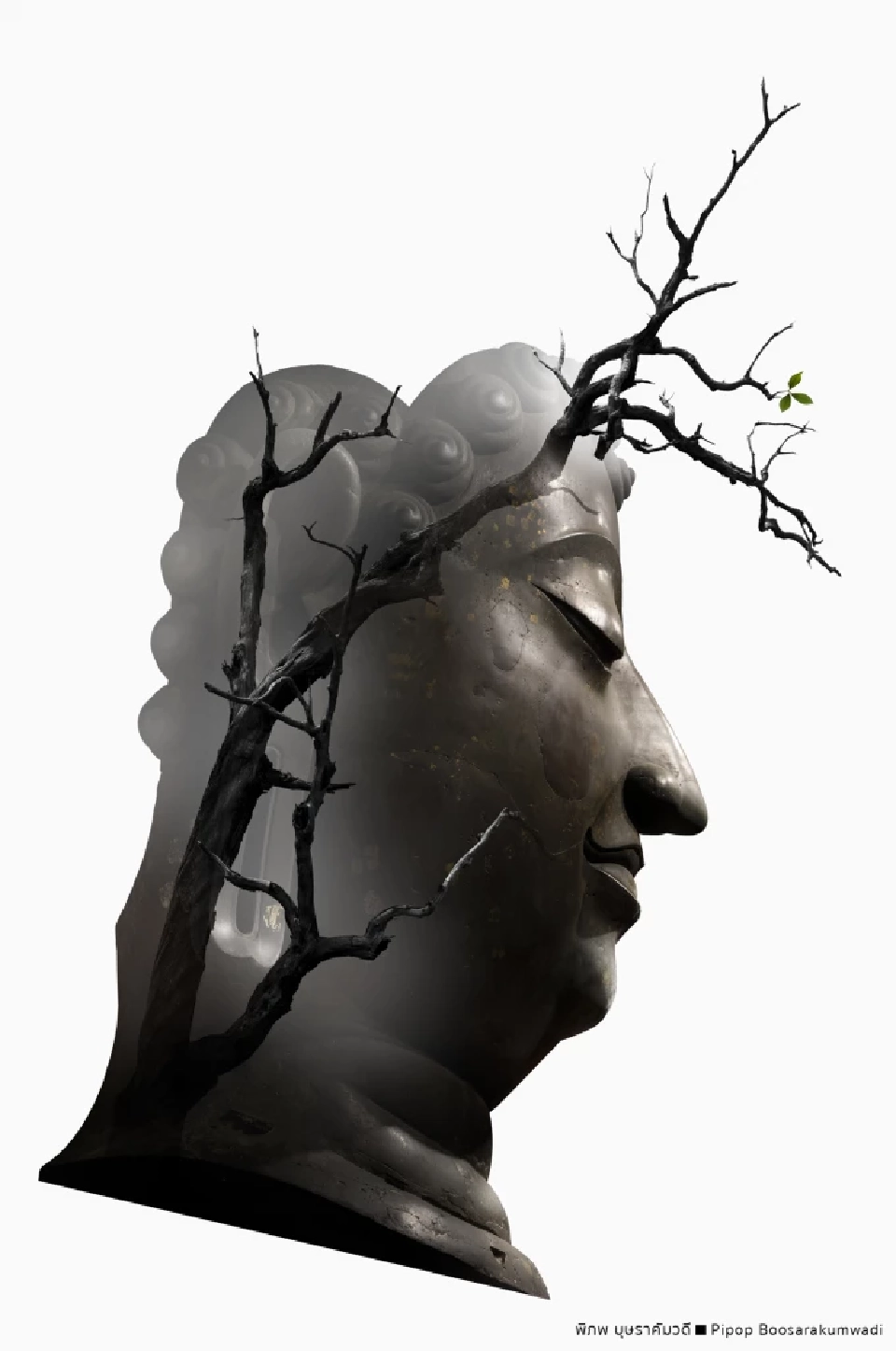 เข้าชมฟรี นิทรรศการศิลปะภาพถ่าย “แสงสวรรค์”