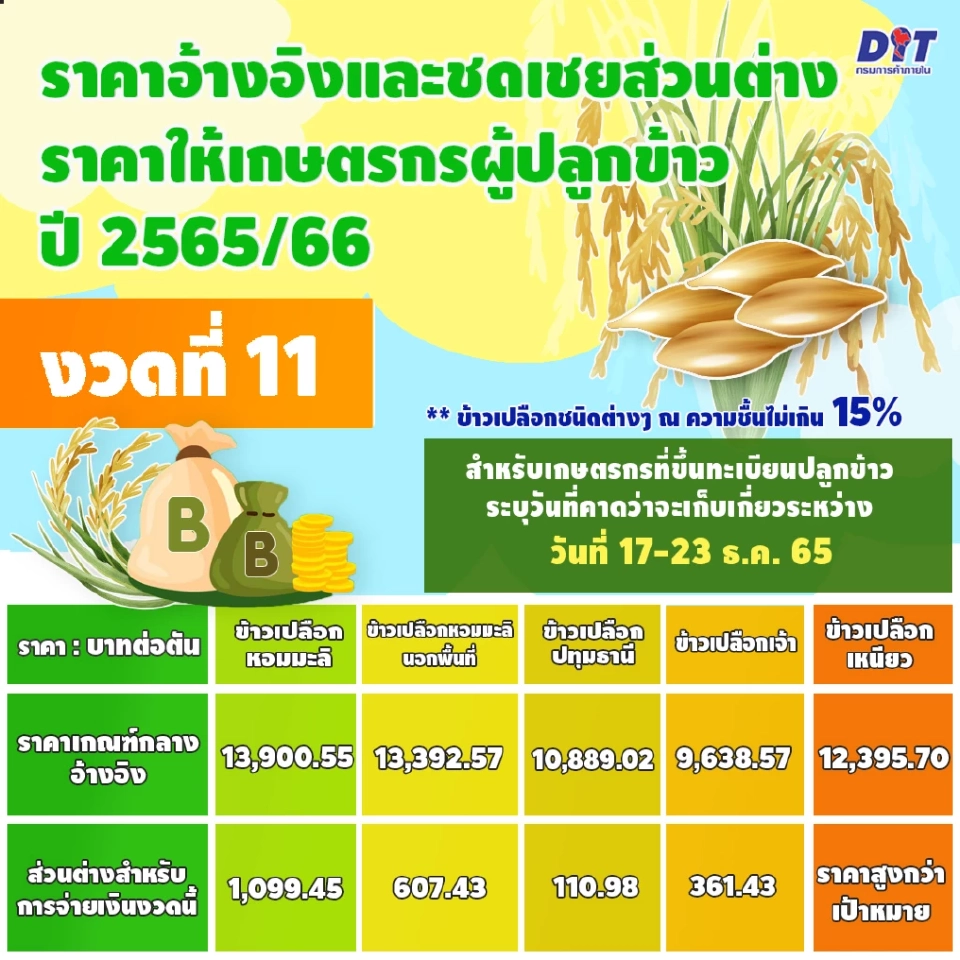 ประกันรายได้ข้าวงวด11 ธ.ก.ส.โอนเงิน28ธ.ค.นี้ ชาวนารีบเช็คสิทธิ์