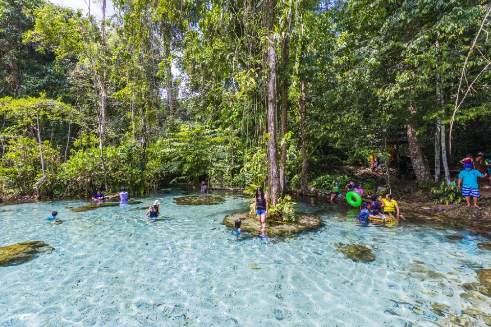 ป่าต้นน้ำบ้านน้ำรา