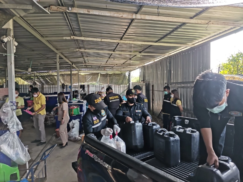 จับอีก! “สไบนางแช่ฟอร์มาลีน” ส่งขายร้านหมูกระทะ