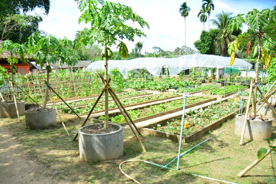 ลงพื้นที่ติดตามการดำเนินงานโครงการอันเนื่องมาจากพระราชดำริ 