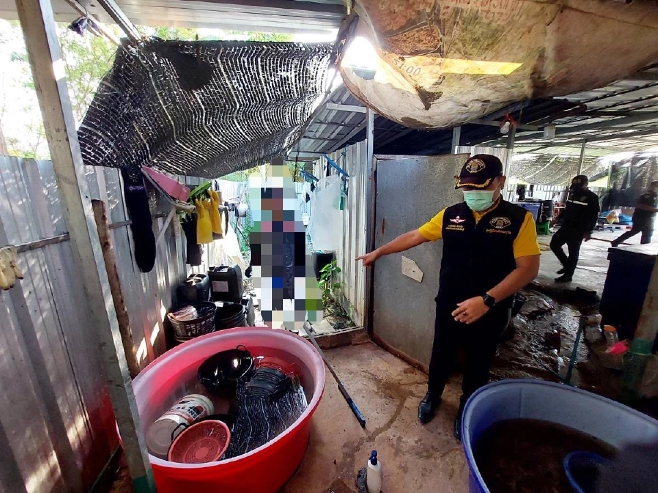 จับอีก! “สไบนางแช่ฟอร์มาลีน” ส่งขายร้านหมูกระทะ