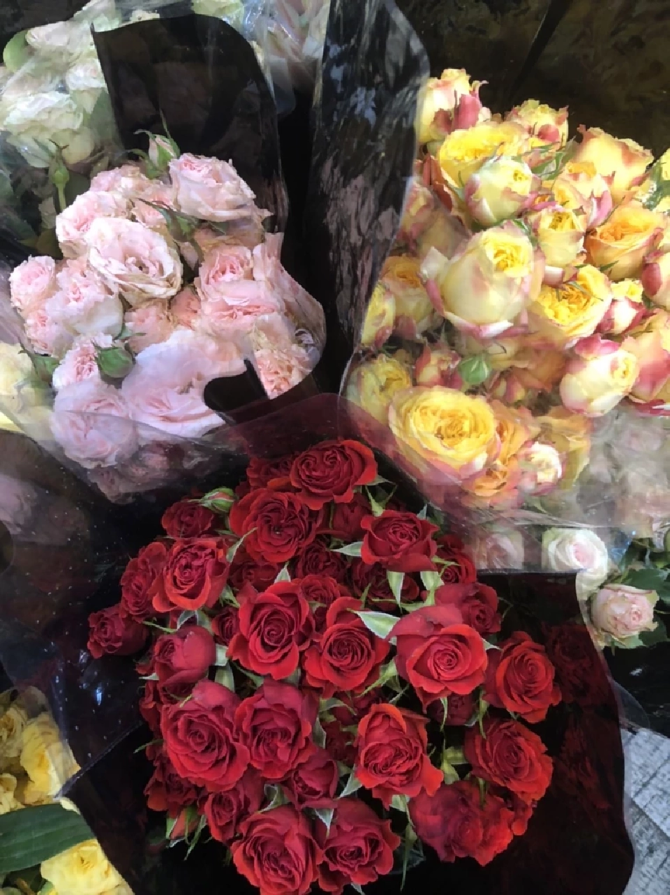 “กุหลาบจีน”มาแรง วาเลนไทน์ปีนี้ คนแห่ซื้อ