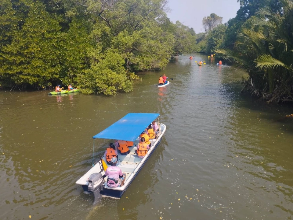 พายเรือคายัคเก็บขยะรักษ์ป่ากลางเมืองระยอง
