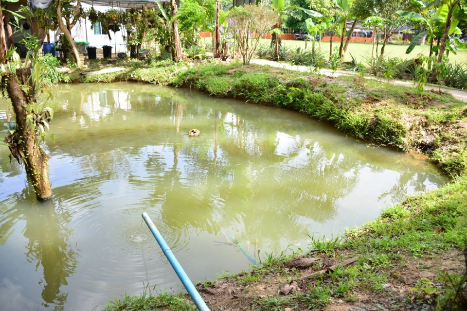 ลงพื้นที่ติดตามการดำเนินงานโครงการอันเนื่องมาจากพระราชดำริ 