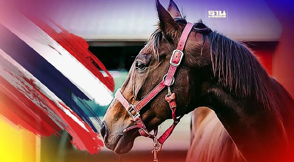 กาฬโรคแอฟริกาในม้า