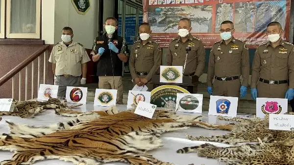 พล.ต.ท.ปัญญา ปิ่นสุข