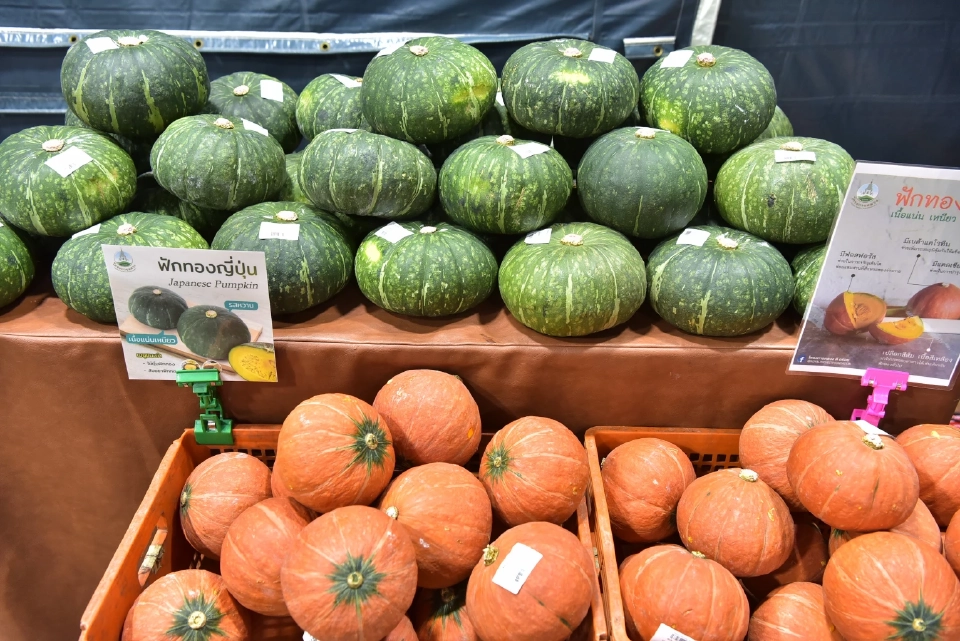 ชวนช้อปผลผลิตจากยอดดอย ในงาน "Royal Project Gastronomy Festival 2023 @ Siam Paragon"