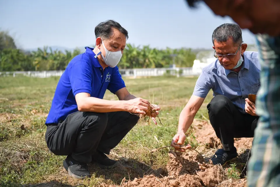 “มกอช.” ลุยยกระดับ ระบบควบคุมภายในกลุ่มเกษตรกร นำร่องอุทัยธานี