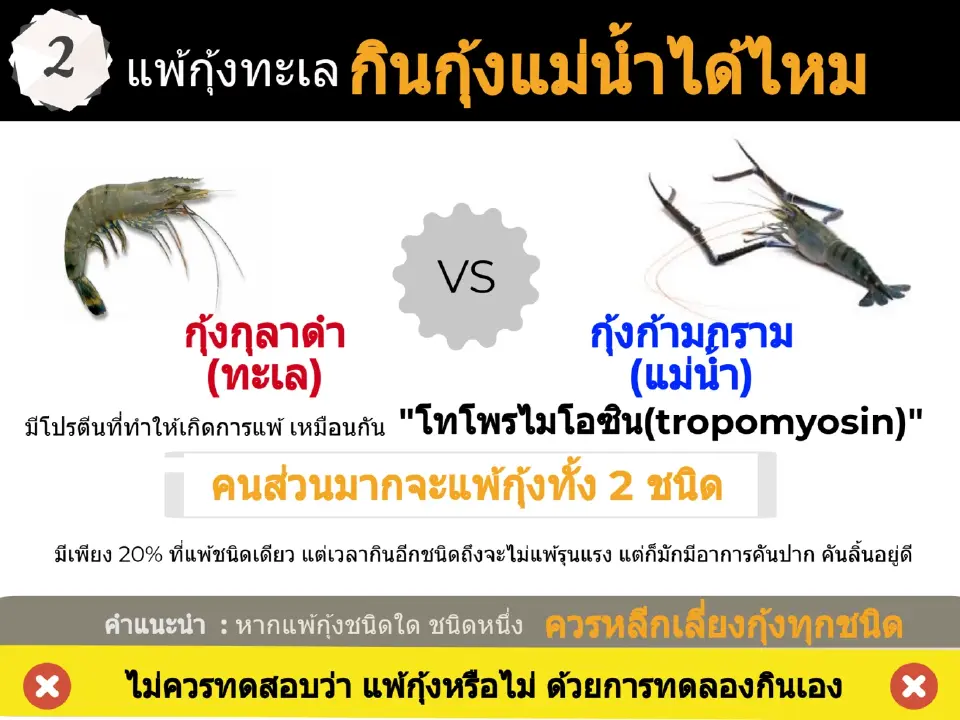 แพ้กุ้ง
