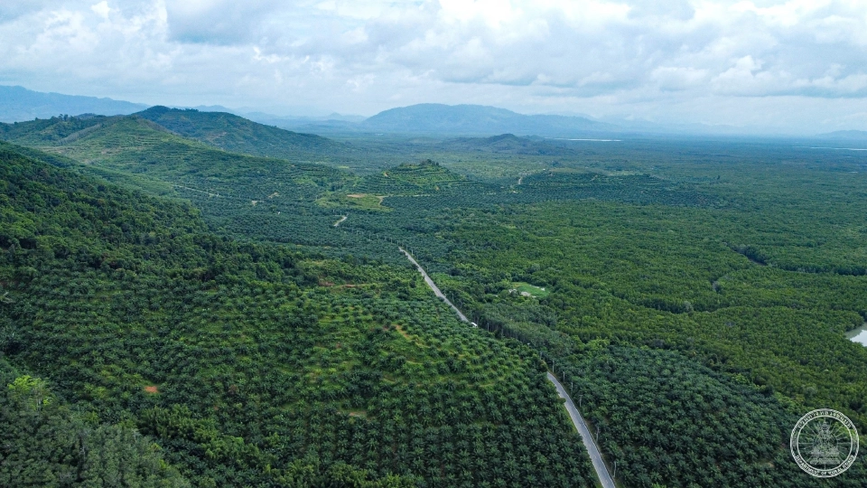 เปิดจุดชมวิว “เสม็ดนางชี” ไฮไลท์แดนใต้ บนถนนสาย พง.1004 จ .พังงา