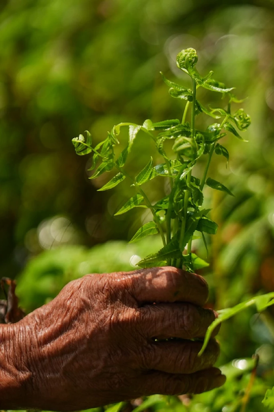 TCP สานต่อพันธกิจจัดการน้ำทุกมิติ นำร่องชุมชนต้นแบบ “เติมน้ำใต้ดิน”
