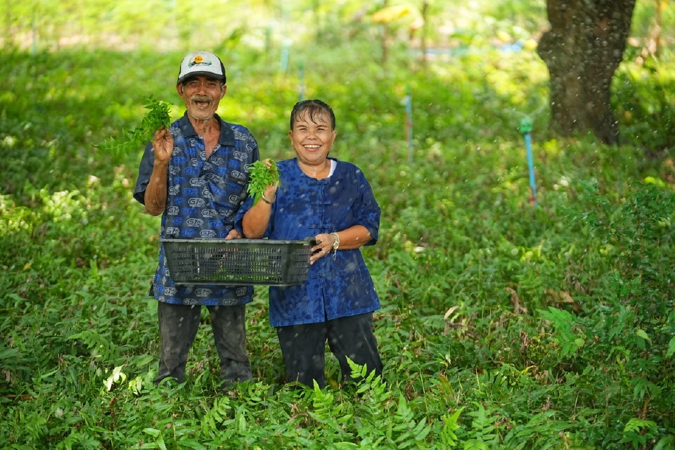 TCP สานต่อพันธกิจจัดการน้ำทุกมิติ นำร่องชุมชนต้นแบบ “เติมน้ำใต้ดิน”