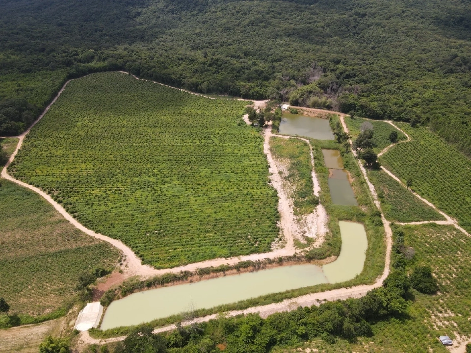TCP สานต่อพันธกิจจัดการน้ำทุกมิติ นำร่องชุมชนต้นแบบ “เติมน้ำใต้ดิน”