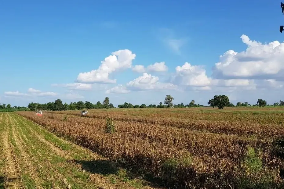 ส่องแนวทางรัฐ-เอกชนบูรณาการฐานข้อมูลจัดการฝุ่น PM 2.5 แบบยั่งยืน