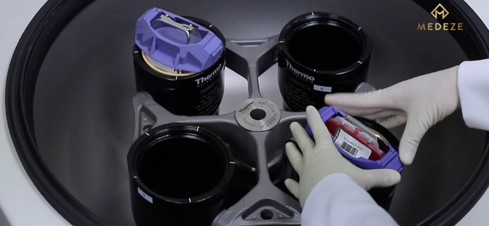 MEDEZE เตรียมเข้าตลาดหลักทรัพย์ฯ ลุยผู้นำธนาคารเซลล์ต้นกำเนิดเอเชีย