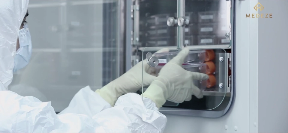 MEDEZE เตรียมเข้าตลาดหลักทรัพย์ฯ ลุยผู้นำธนาคารเซลล์ต้นกำเนิดเอเชีย