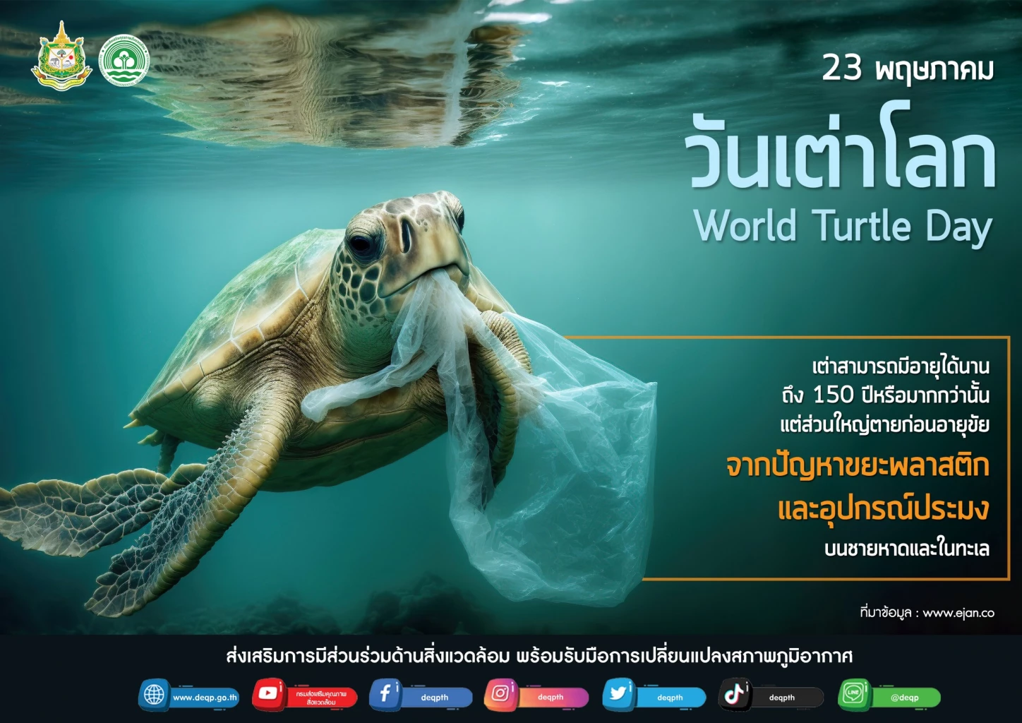เรื่องของเต่าที่เราอาจไม่รู้ “วันเต่าโลก” (World Turtle Day)