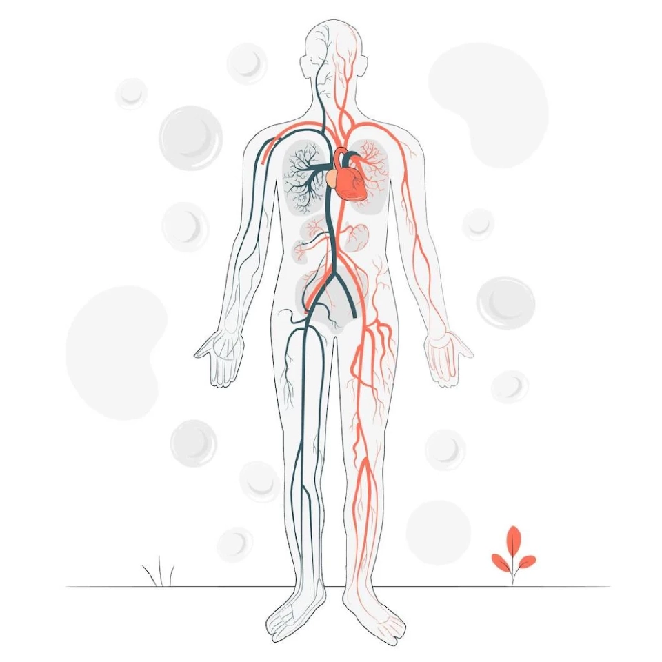 ทำความรู้จักกับ โรคผนังหลอดเลือดแดงใหญ่ปริแตกเซาะ