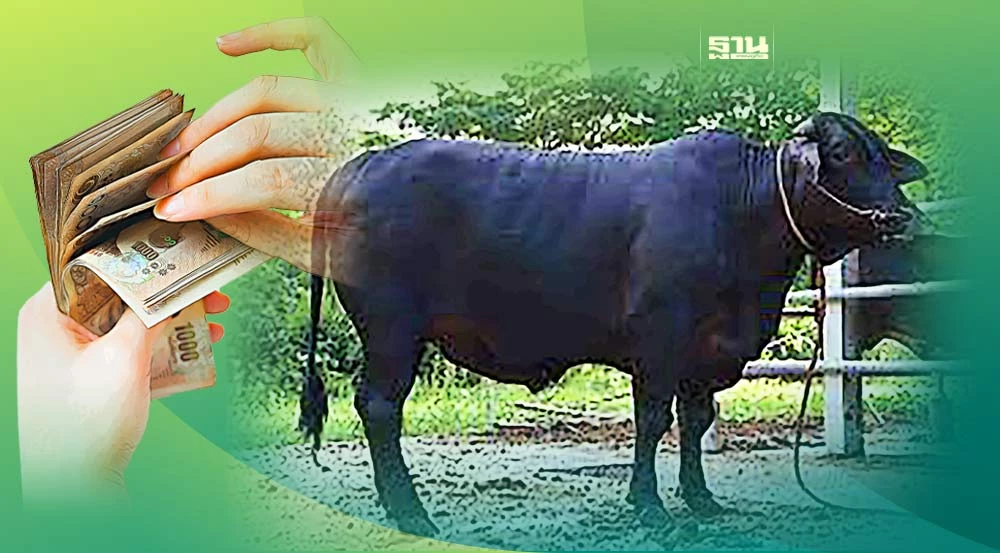 ภาพประกอบข่าว การออมรูปแบบใหม่ที่ไม่ใช่ตัวเงิน ผ่านวิธีการปลูกไม้มีค่า และ วิธีการเลี้ยงสัตว์ 